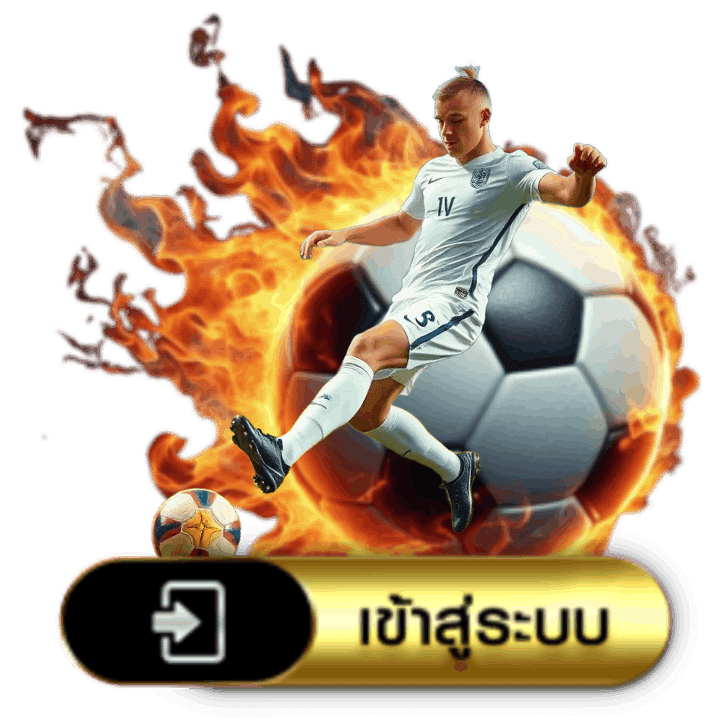 เข้าสู่ระบบ
