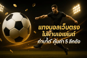 แทงบอลเว็บตรงไม่ผ่านเอเย่นต์
